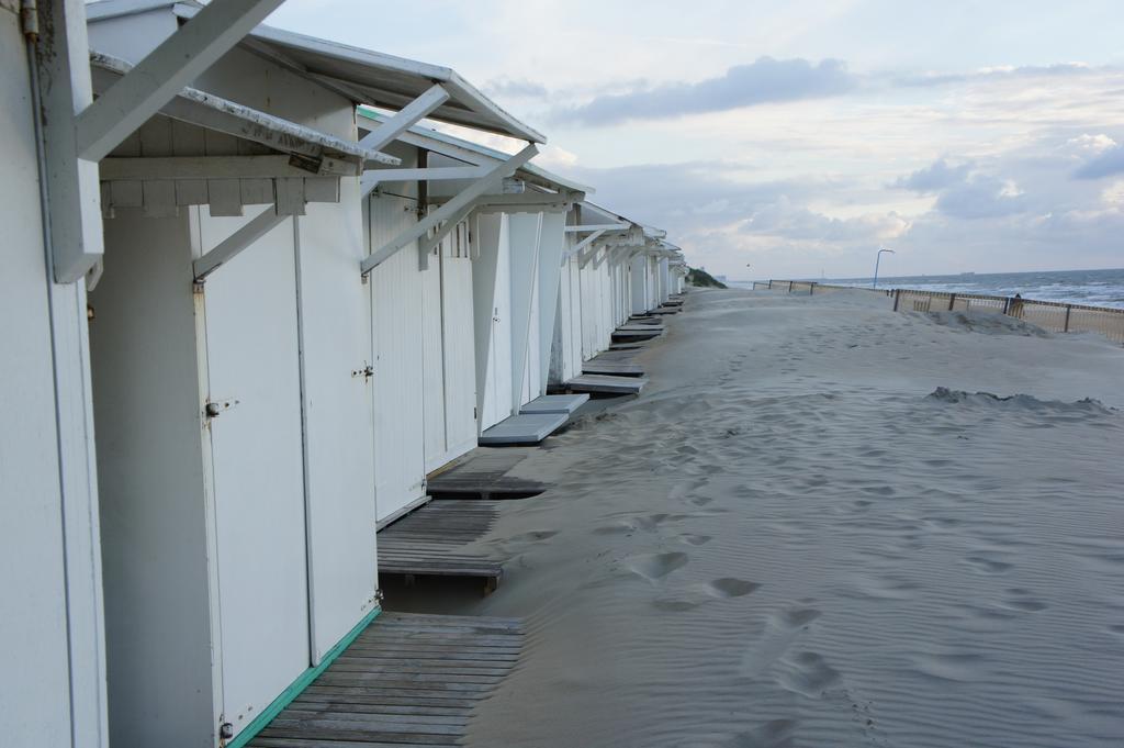 Duinenhuis Zeepolder 28 دي هان المظهر الخارجي الصورة