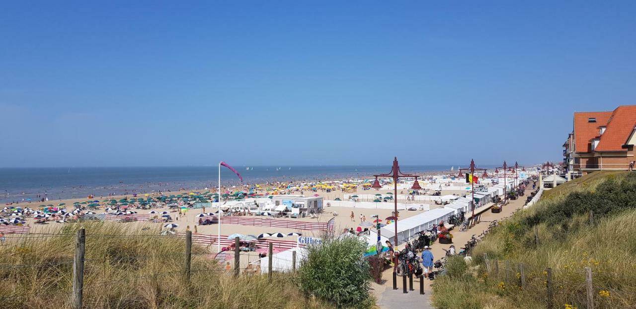 Duinenhuis Zeepolder 28 دي هان المظهر الخارجي الصورة
